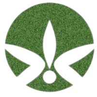 gotanybude|Get Bud Online USA